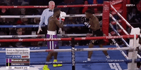 GIF by Top Rank Boxing