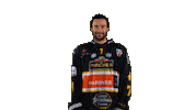 Hockey Look Sticker by HC Pustertal Wolves