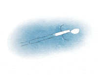 helene_helene animation water stickman floating GIF