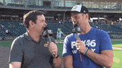 homerthedragon dance baseball fox dragon GIF