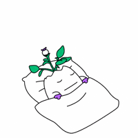 Sleepy Good Morning GIF by Magic Eden