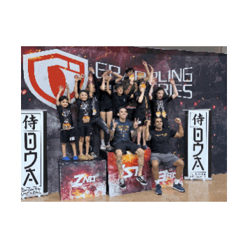 Champions Chelsea Bird Sticker by Brazilian Top Team