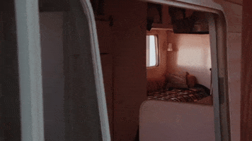 This Is Why GIF by Paramore