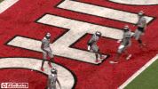 Ncaa Sports GIF by Ohio State Athletics