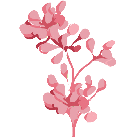 Flower Sticker by elan_cafe