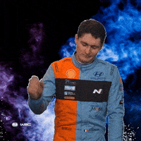 Disappointed No Way GIF by FIA World Rally Championship