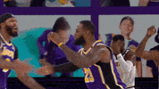 Lebron James Sport GIF by NBA
