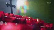 darksideofthering wrestling dark side of the ring dsotr vicetv GIF