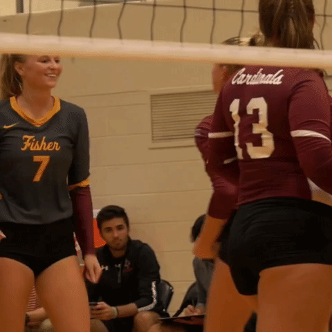 high five volleyball GIF
