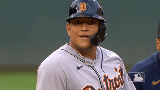 Major League Baseball Reaction GIF by Detroit Tigers