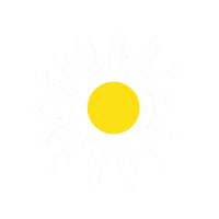 Summer Flower Sticker by sylterinselliebe