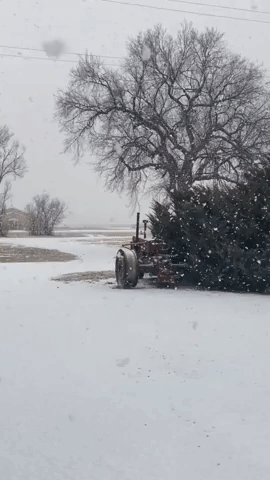 'Snowglobe Flakes' Descend on Northeast Colorado as Hazardous Weather Outlook Issued