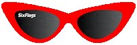 Sun Sunglasses Sticker by Six Flags