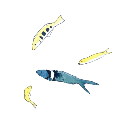 sargassogirl giphyupload Sticker