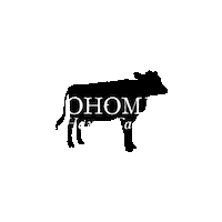 Snohomishhayandcattle cows cattle farmlife shc Sticker