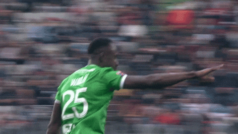 Ligue 1 Joie GIF by AS Saint-Étienne