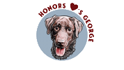 Dog Day Sticker by South Carolina Honors College