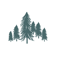 Snow Winter Sticker