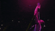 steve aoki celebration GIF by NETFLIX