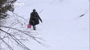 Snow GIF by euronews