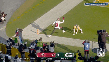 Mike Evans Football GIF by NFL