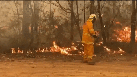 giphydvr australia giphynewsinternational wildfires australia fires GIF