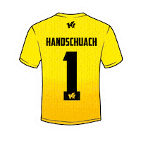 Goalkeeper Ks Sticker by KEEPERsport