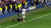 tadic GIF by nss sports
