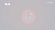 viceland GIF by Motherboard