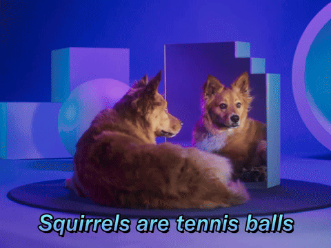Squirrels...