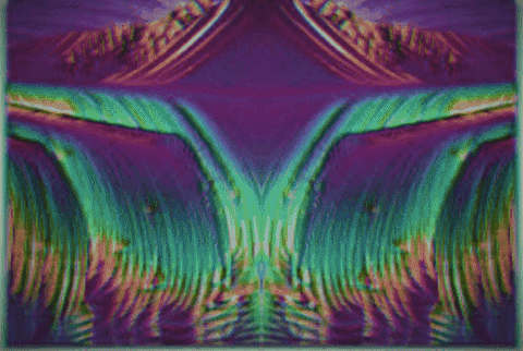 GIF by Leo Pyrata