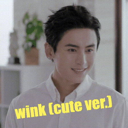Wink Zzh GIF