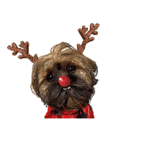 Rudolph The Red Nosed Reindeer Dog Sticker