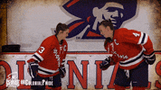 happy ice hockey GIF by Robert Morris University Athletics