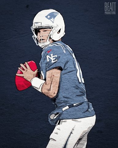 New England Patriots Football GIF