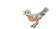 Bird Robin Sticker by Heather Buchanan
