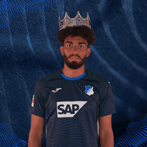 Sport Bundesliga GIF by TSG Hoffenheim