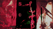 music video GIF by Sub Pop Records