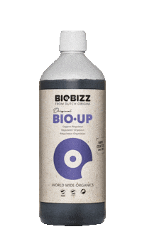 Flower Grow Sticker by Biobizz