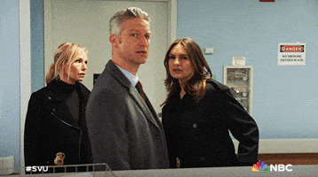 Episode 17 Nbc GIF by Law & Order