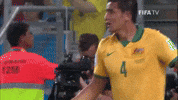 No Es Posible World Cup GIF by FIFA