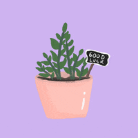 Plant Good Luck GIF