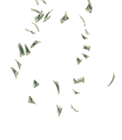 salutbeaute money raining moneyrain salut beauté Sticker