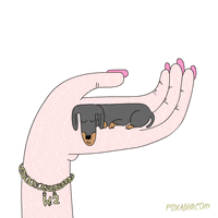 Animation Domination Lol GIF by gifnews