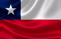Viva Chile GIF