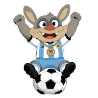 World Cup Win Sticker
