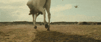 Trailer Pk GIF by Sharat North America Exhibition