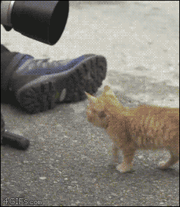GIF by Demic