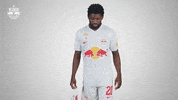 Football Sport GIF by FC Red Bull Salzburg