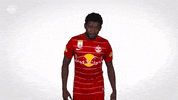 Red Bull Duty GIF by FC Red Bull Salzburg
